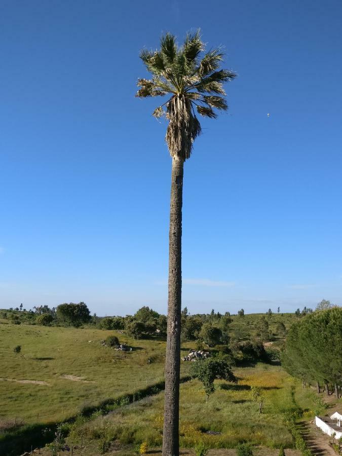 Pensjonat Quinta Da Abrunheira - Gustavo Eiffel Ciborro Zewnętrze zdjęcie