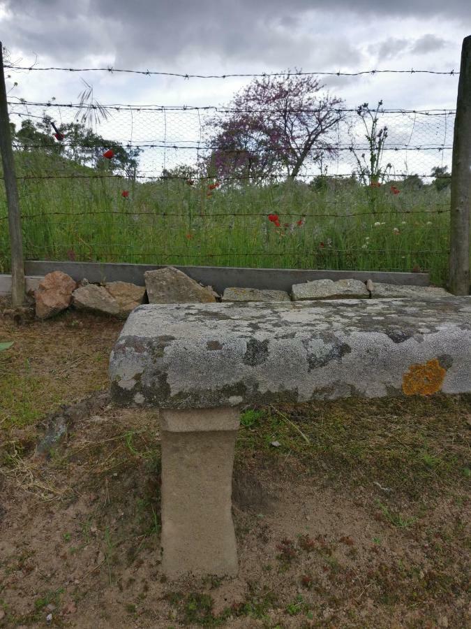 Pensjonat Quinta Da Abrunheira - Gustavo Eiffel Ciborro Zewnętrze zdjęcie