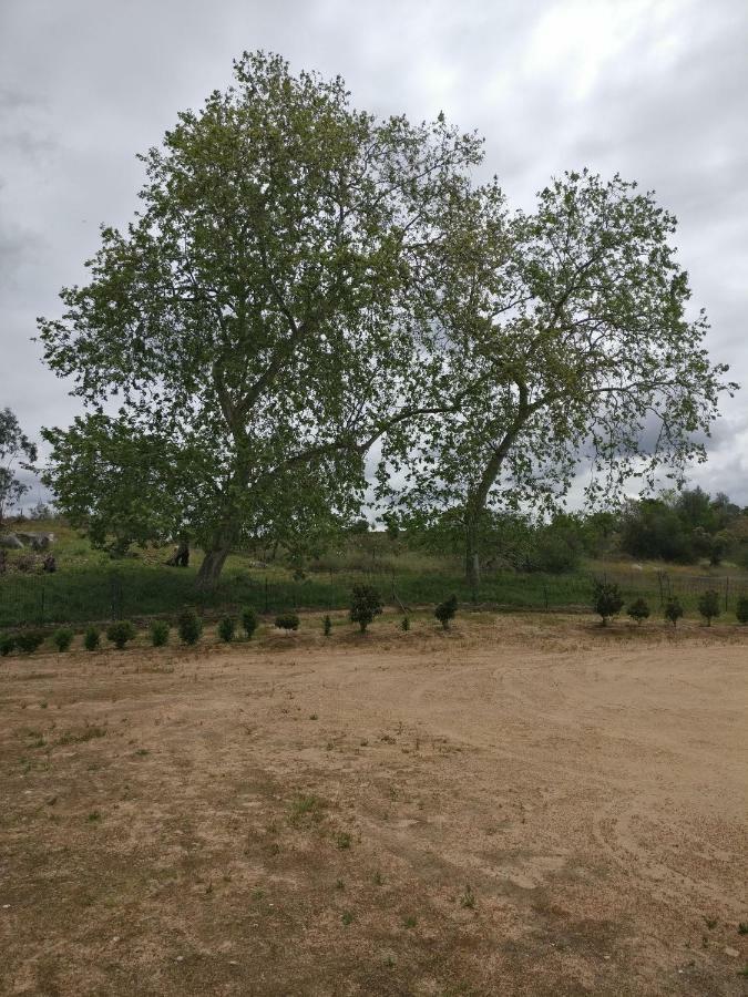 Pensjonat Quinta Da Abrunheira - Gustavo Eiffel Ciborro Zewnętrze zdjęcie