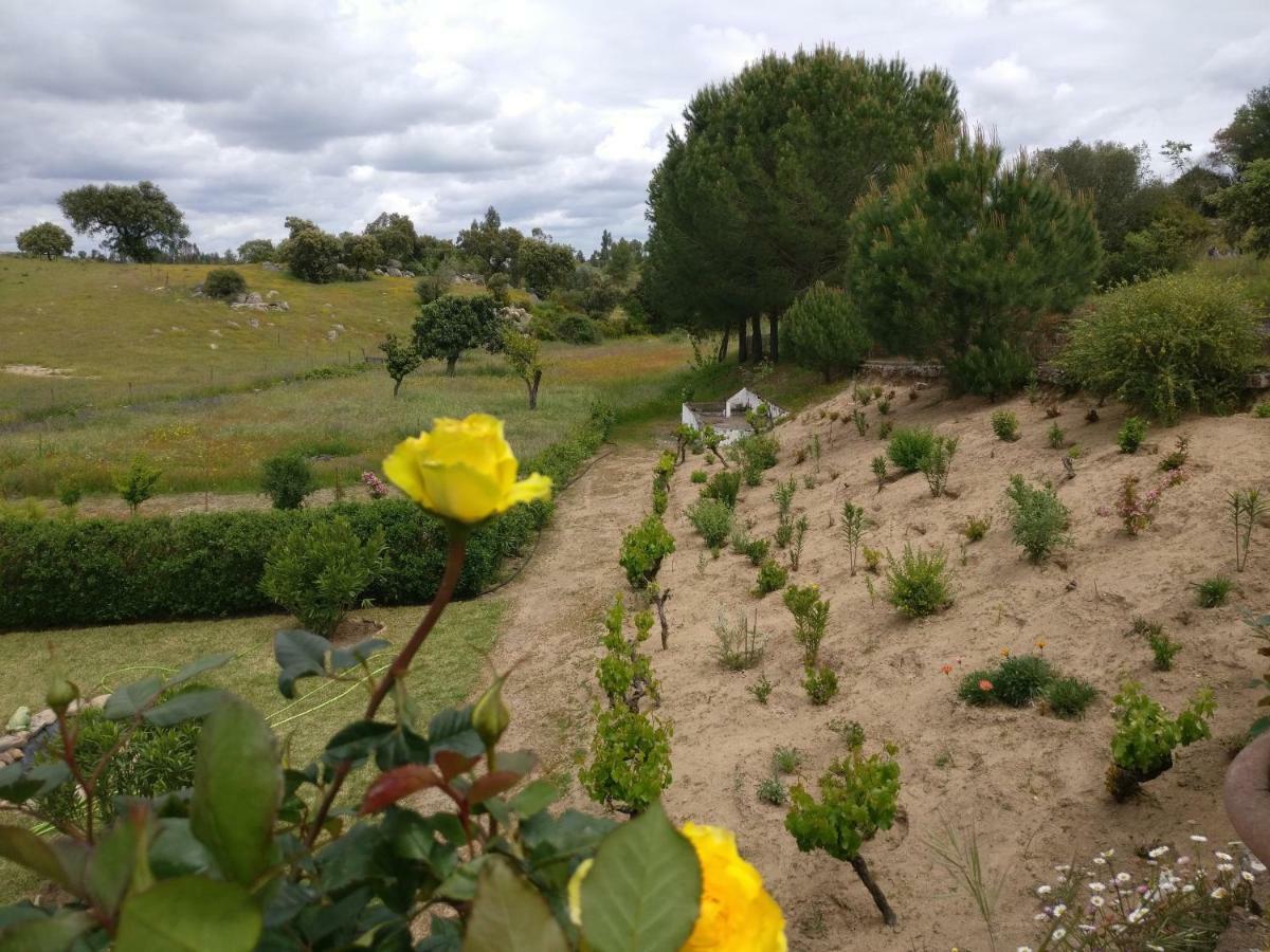 Pensjonat Quinta Da Abrunheira - Gustavo Eiffel Ciborro Zewnętrze zdjęcie